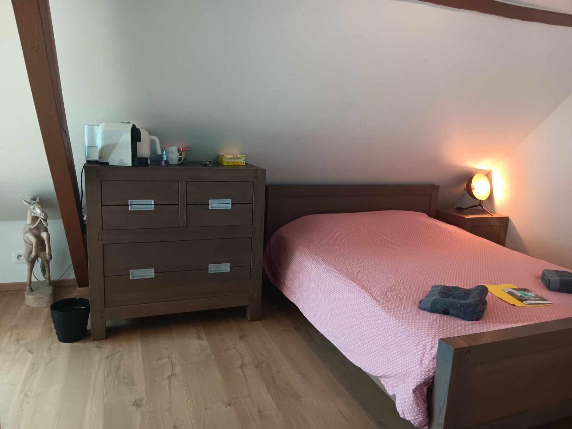 ヘント Quartier Leonard Bed & Breakfast エクステリア 写真